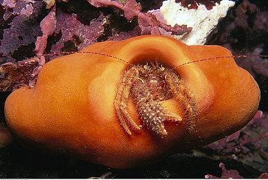 战术游戏《迷瘴纪事》全平台发售  与机器人兄弟踏上末世之旅