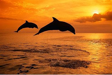 虚幻5《夺宝奇兵》粉丝概念预告 琼斯博士古墓探险